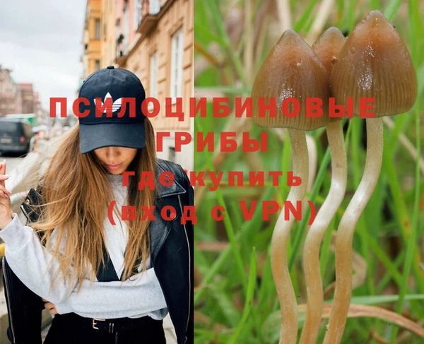 прущие крисы Балахна