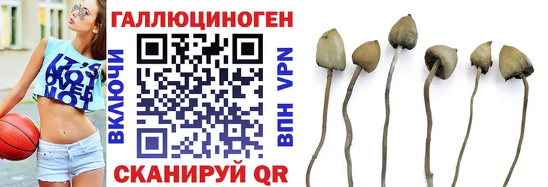 Галлюциногенные грибы прущие грибы  Южно-Сухокумск 